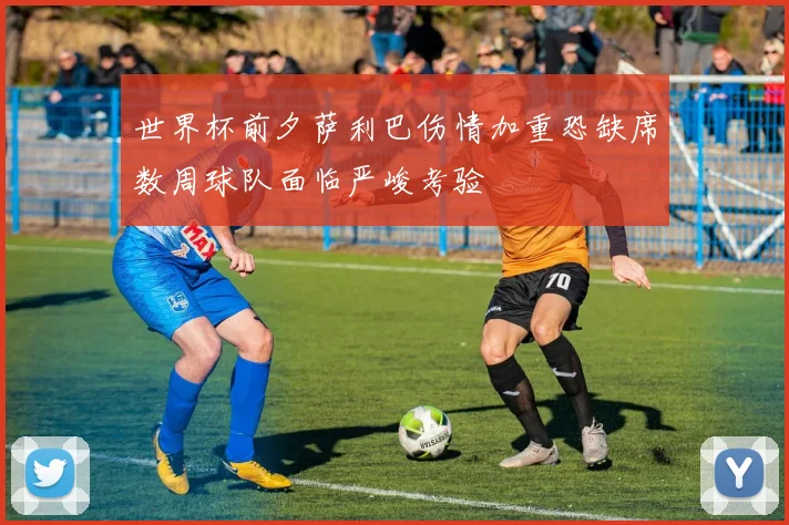 世界杯前夕萨利巴伤情加重恐缺席数周球队面临严峻考验